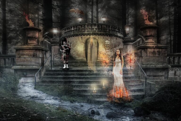 stage purification France Belgique